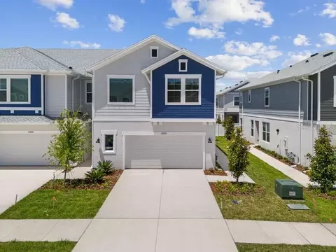 17237 Balance Cv, Land O Lakes, FL 34638