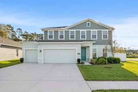 29569 Sedgeway Blvd, Wesley Chapel, FL 33544