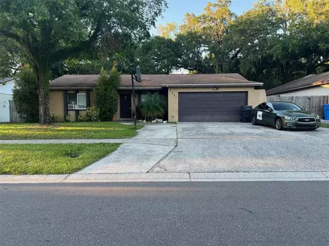 4231 Truman Dr, Seffner, FL 33584 photo 1