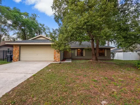 1012 Riflecrest Ave, Valrico, FL 33594