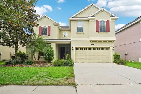 19240 Early Violet Dr, Tampa, FL 33647