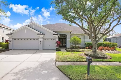 10405 Acelia Way, Tampa, FL 33626