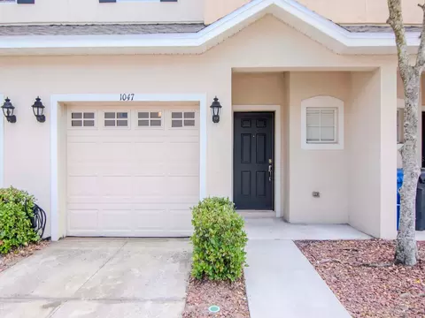 1047 Andrew Aviles Cir, Tampa, FL 33619