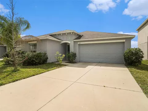 10325 Boggy Moss Dr, Riverview, FL 33578