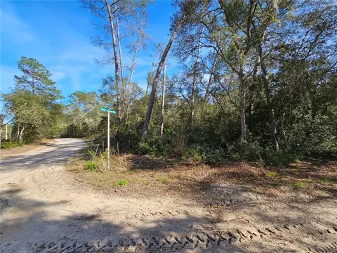 130 Deer Stand, Florahome, FL 32140