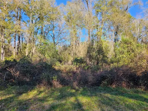 138 Deer Stand Rds, Florahome, FL 32140