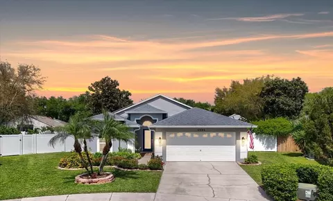 4904 Otter Creek Ct, Valrico, FL 33596