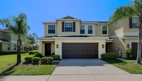 20205 Torch Lilly Way, Tampa, FL 33647