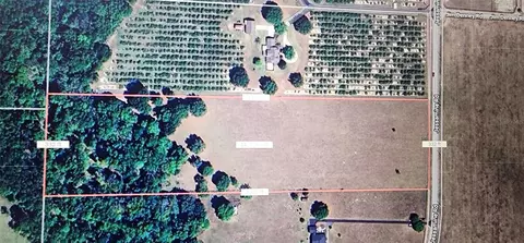 Jessamine, Dade City, FL 33523
