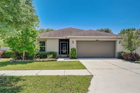 10609 Massimo Dr, Wimauma, FL 33598