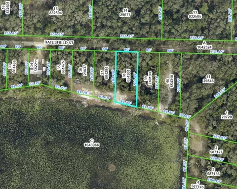 35090 Batesfield St, Webster, FL 33597