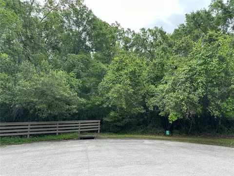 Regal Oaks Lane, Lutz, FL 33559