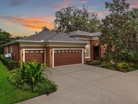 15808 Oakleaf Run Dr, Lithia, FL 33547