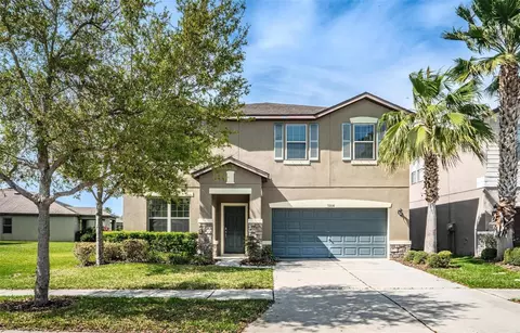 9208 European Olive Way, Riverview, FL 33578