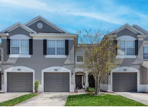 10225 Estero Bay Ln, Tampa, FL 33625