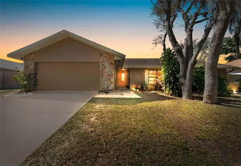 1011 Riflecrest Ave, Valrico, FL 33594