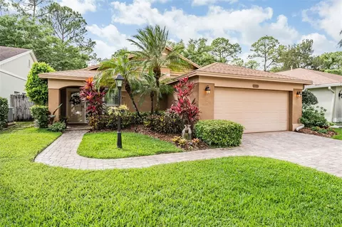 10408 Springrose Dr, Tampa, FL 33626