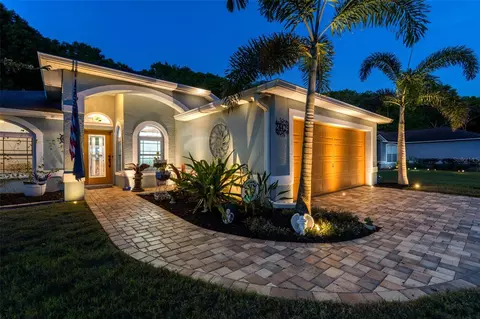 24429 Painter Dr, Land O Lakes, FL 34639