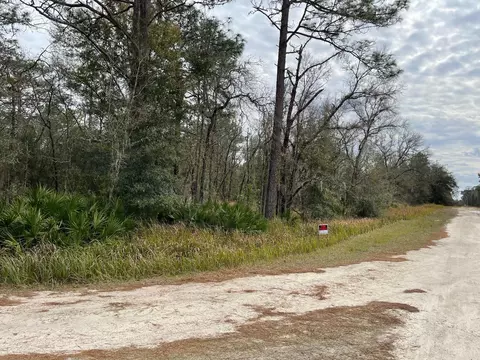 0 SW 91 Ln, Dunnellon, FL 34432