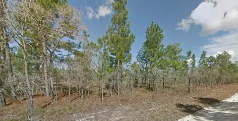 Se 6th Ln, Williston, FL 32696