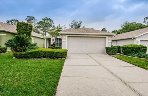 3231 Banyan Hill Ln, Land O Lakes, FL 34639