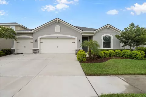 911 Better Days Pl, Valrico, FL 33594