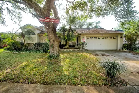 3004 Sprawling Oaks Pl, Valrico, FL 33596