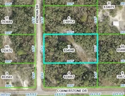 8130 Renova Dr, Webster, FL 33597