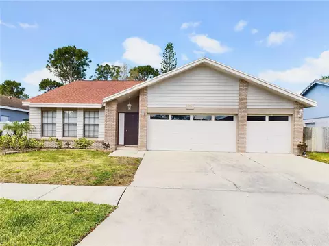 11204 Pocket Brook Dr, Tampa, FL 33635