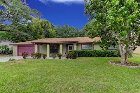 14216 Briarthorn Dr, Tampa, FL 33625
