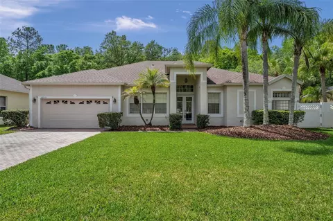 16313 Ashington Park Dr, Tampa, FL 33647