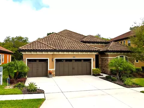 2765 Calvano Dr, Land O Lakes, FL 34639
