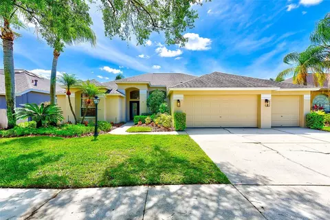 12433 Bristol Commons Cir, Tampa, FL 33626