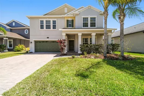 19466 Paddock View Dr, Tampa, FL 33647