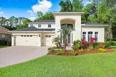 10541 Canary Isle Dr, Tampa, FL 33647