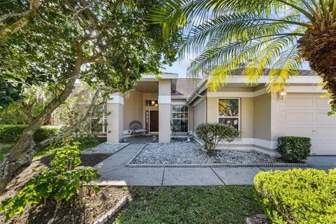 9203 Dayflower Dr, Tampa, FL 33647