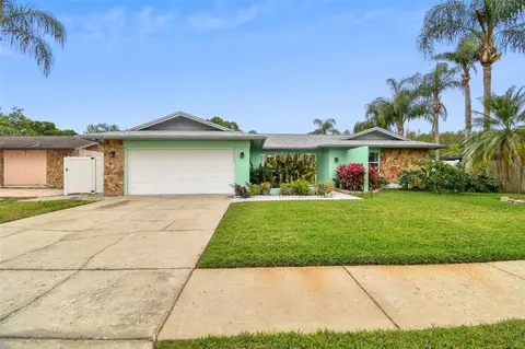 4118 Summerdale Dr, Tampa, FL 33624
