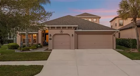 19360 Yellow Clover Dr, Tampa, FL 33647