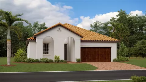 17125 Holly Well Ave, Wimauma, FL 33598