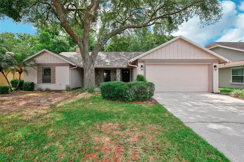 6208 Eaglebrook Ave, Tampa, FL 33625