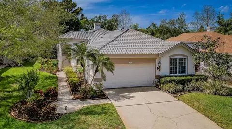 12203 Glencliff Cir, Tampa, FL 33626