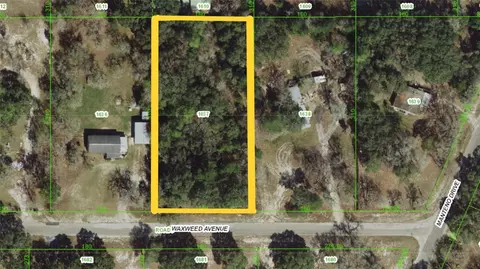 15823 Waxweed Ave, Spring Hill, FL 34610