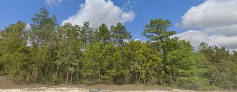 Dusky Warbler Road, Weeki Wachee, FL 34614