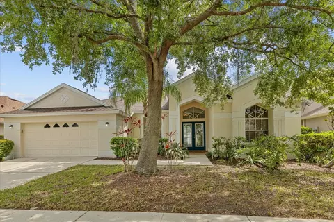 18115 Pheasant Walk Dr, Tampa, FL 33647