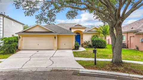 19003 Falcons Pl, Tampa, FL 33647