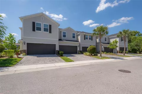 1020 Orchard Arbour Ct, Tampa, FL 33613