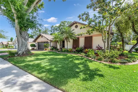 2513 Bucknell Dr, Valrico, FL 33596