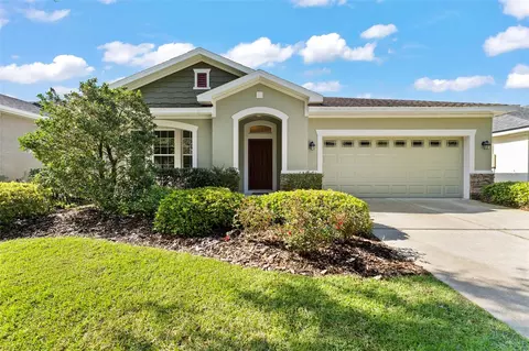 15852 Starling Water Dr, Lithia, FL 33547