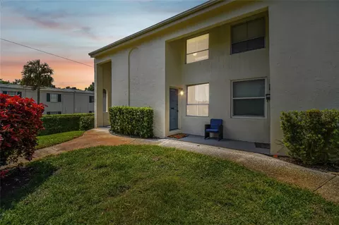 4525 La Capri Ct, Tampa, FL 33611