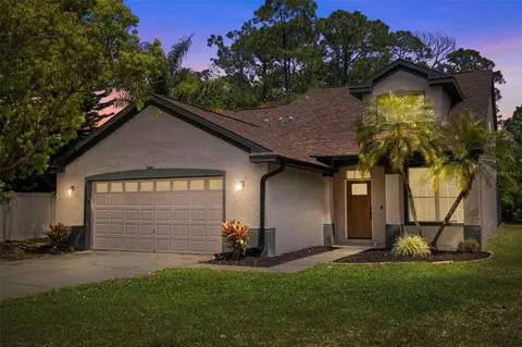 5624 Essex Ct, Palm Harbor, FL 34685